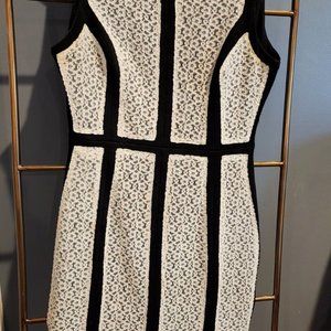 Ark & CO Black Dress White Lace Panels - Size Med